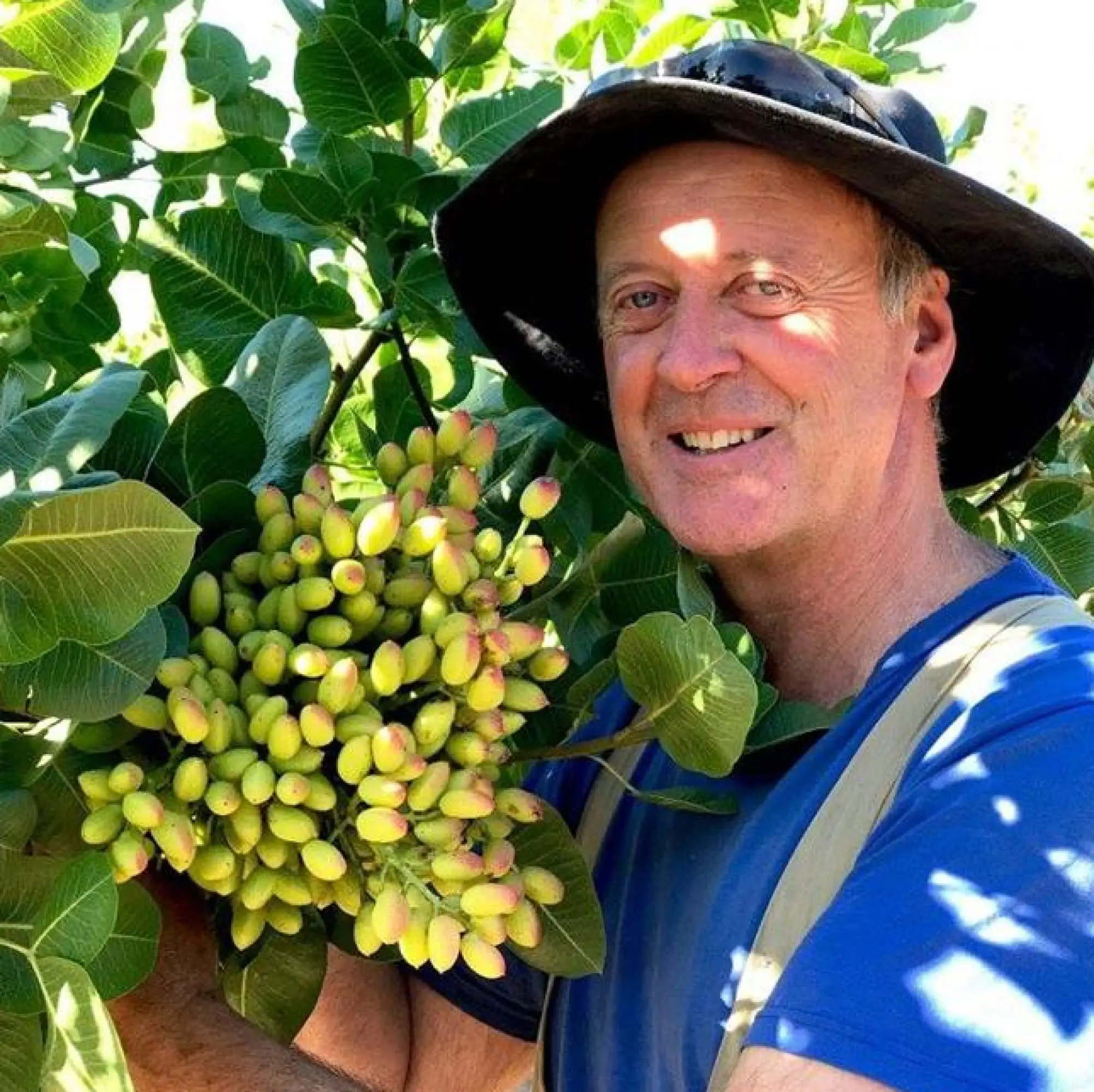 David and pistachios at Wahrina Farm