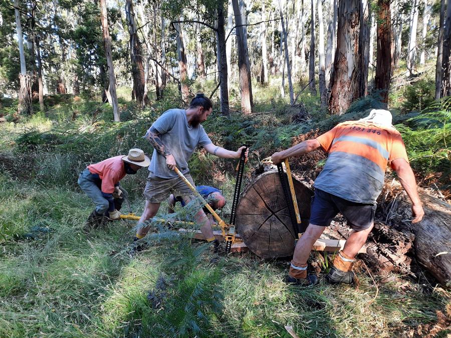 EcologicalloggingSteveMathewsproperty-9900000000079e3c - CERES Fair Food Ecological logging, CERES Fair Wood