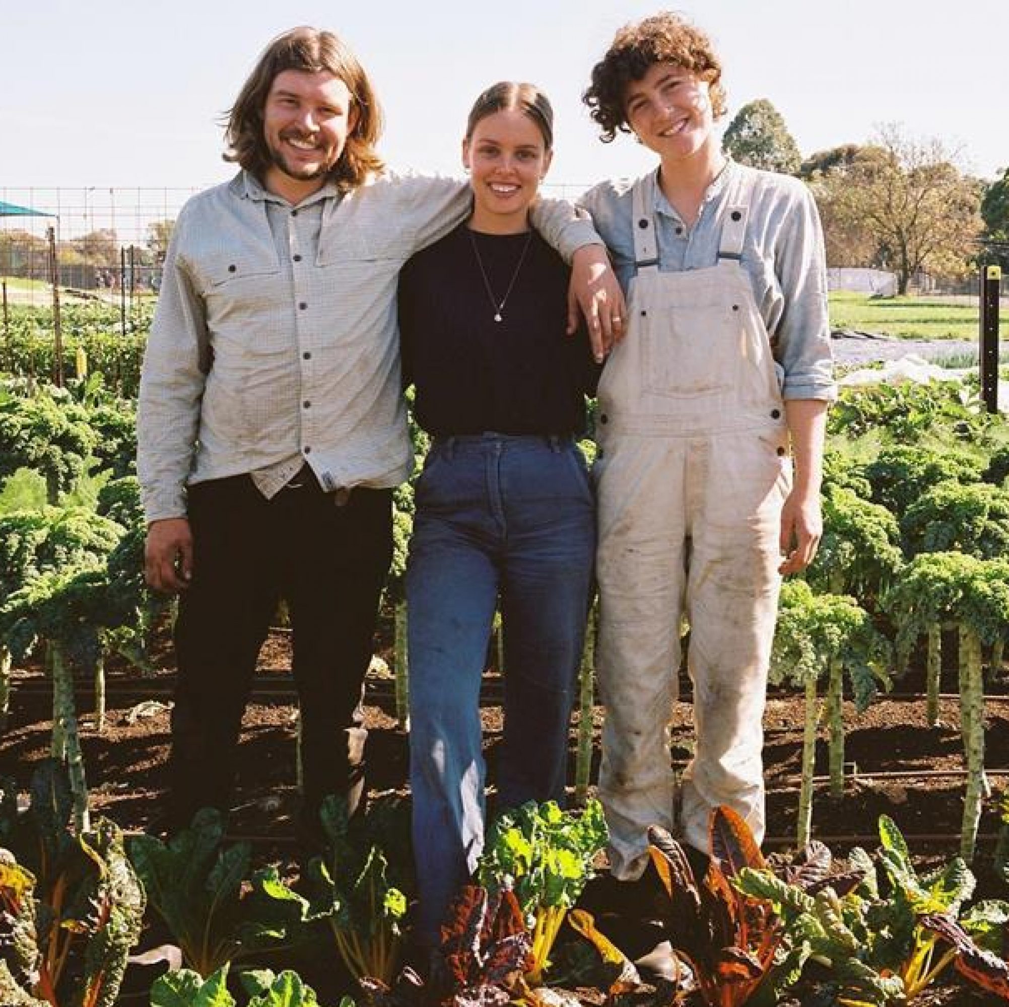 Farm Raiser farmers, Bellfield