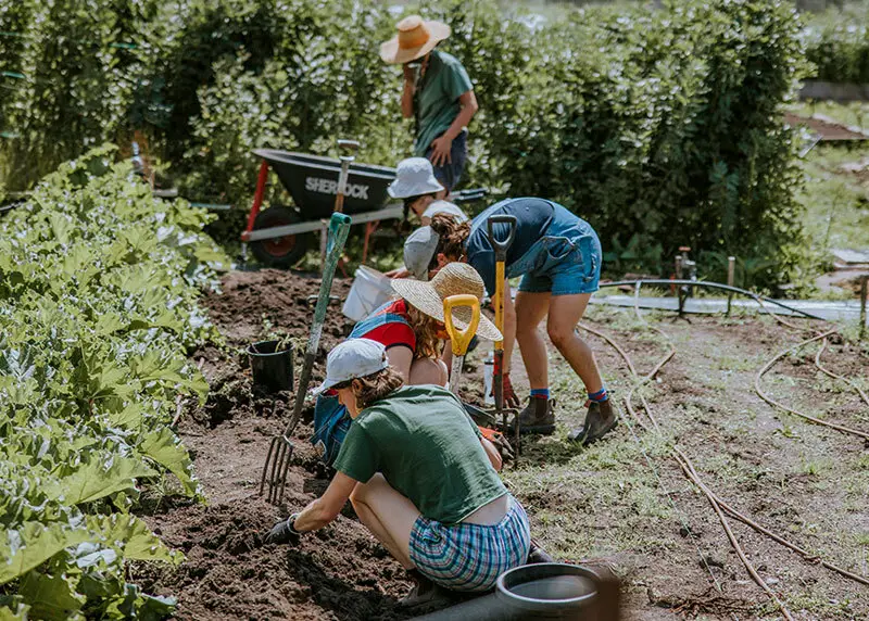 CERES Honey Lane garden working
