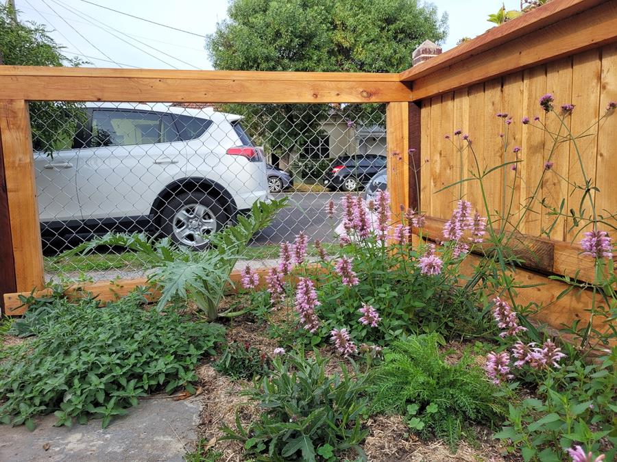 Macrocarpa-and-turpentine-fence-Fair_Wood - CERES Fair Food CERES Fair Wood fence - macrocarpa and turpentine