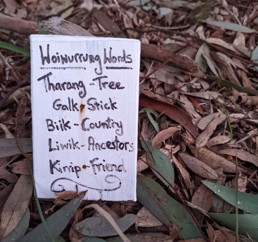 Woiwurrung signs at local park