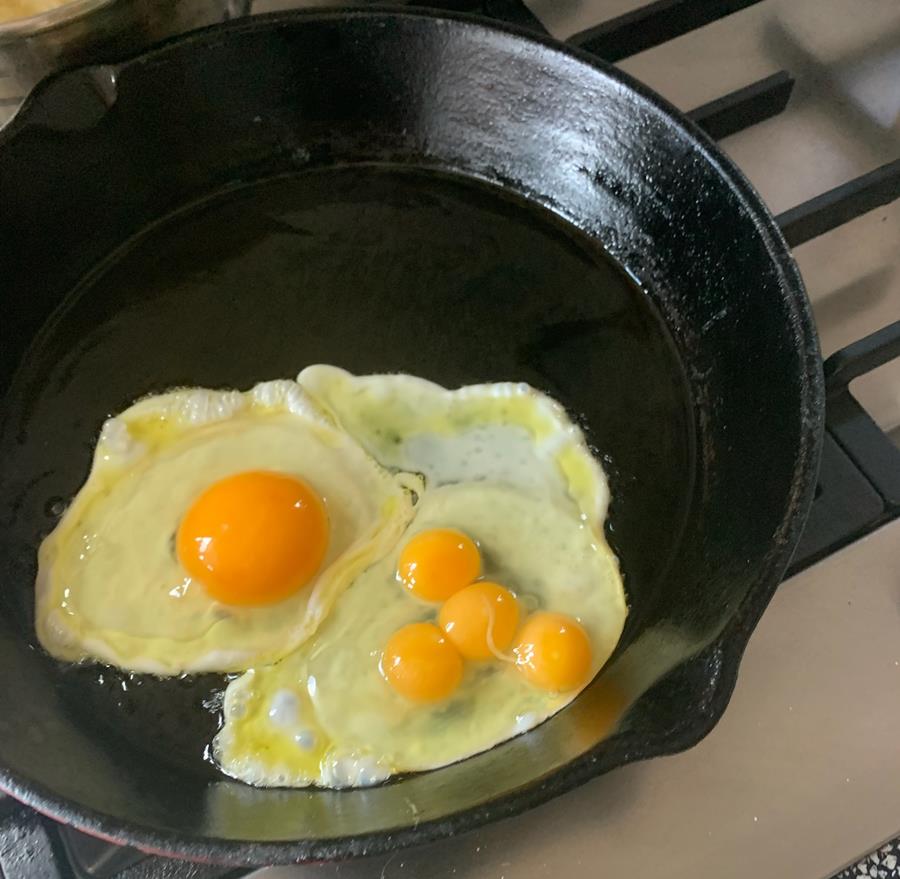 Milo-quadruple-yoker - CERES Fair Food Milo's Quadruple yoker egg!