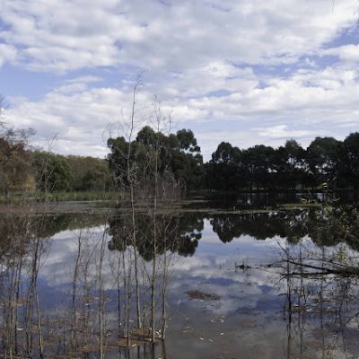 Hazeldean Forest Farm dam