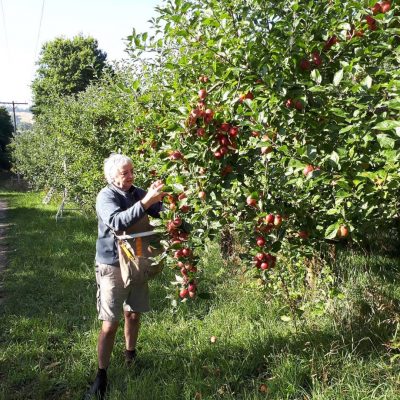 Hazeldean Forest Farm