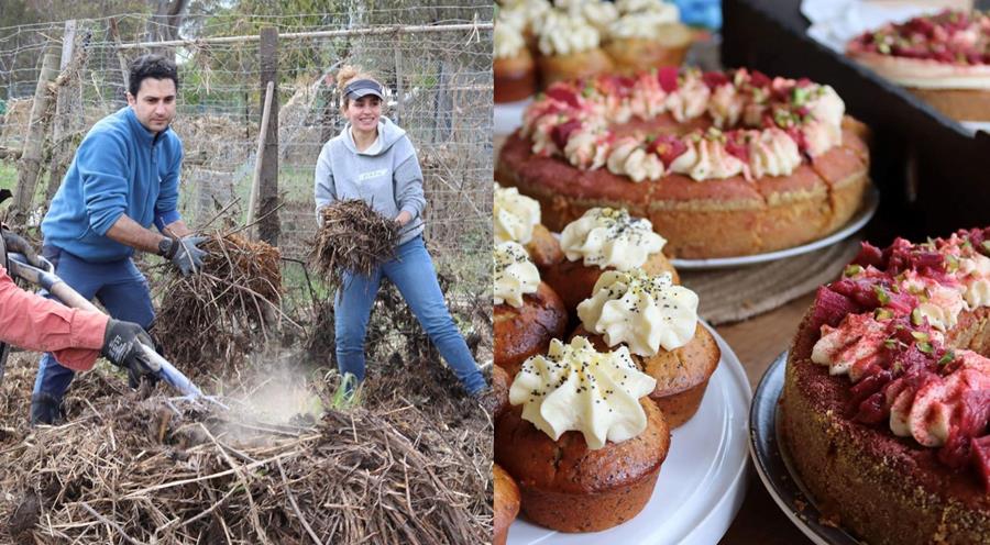 Working together after the flood, Somerset Heritage Produce