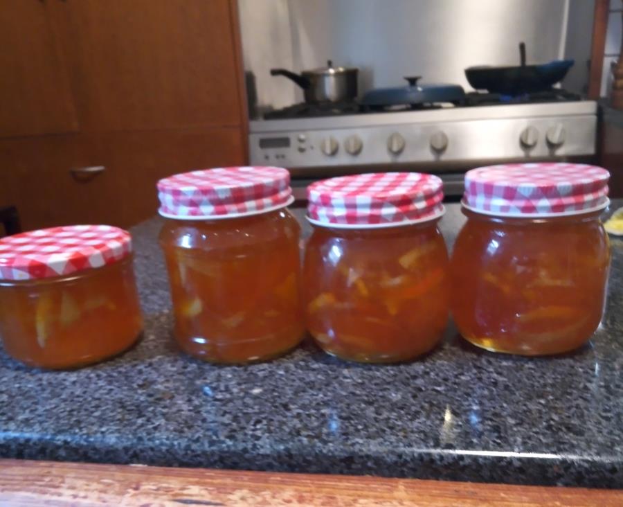 Homemade jams