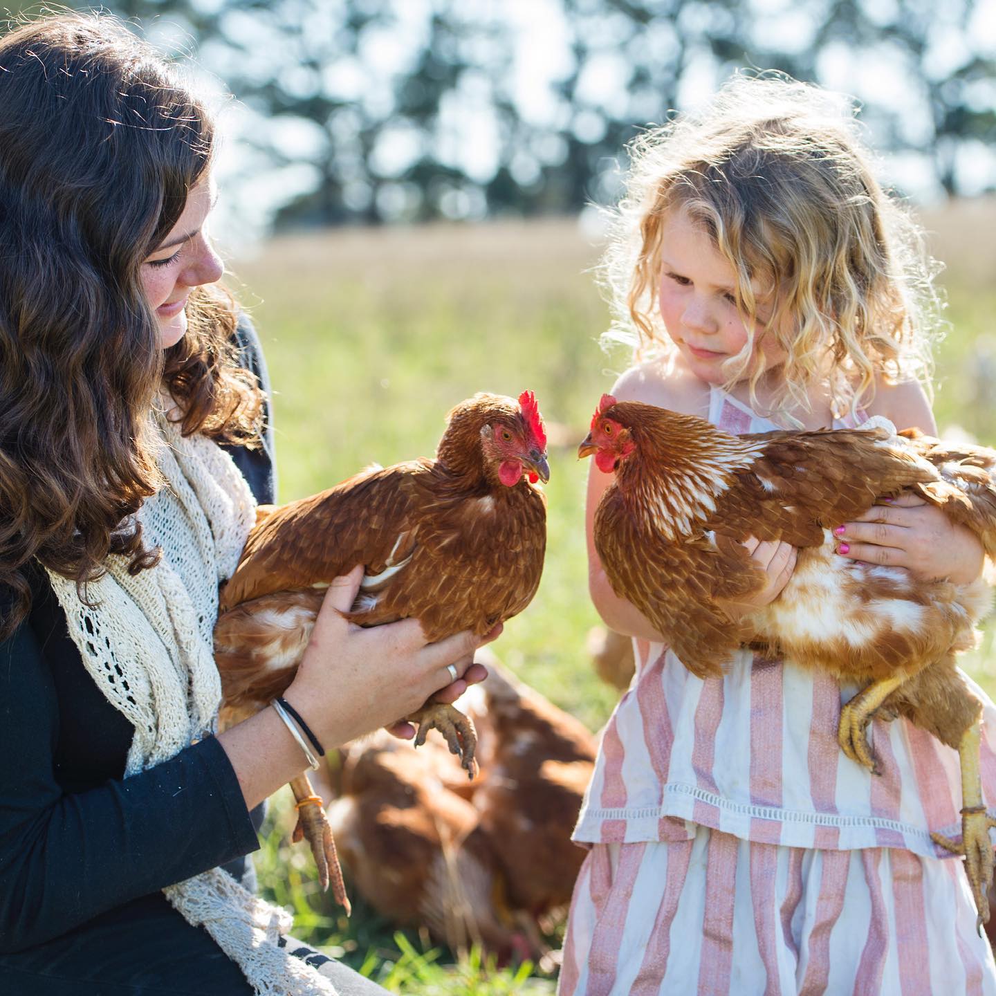 Madelaine's Eggs - CERES Fair Food