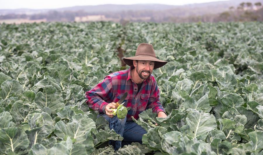 Stuart Grigg IPM farmer