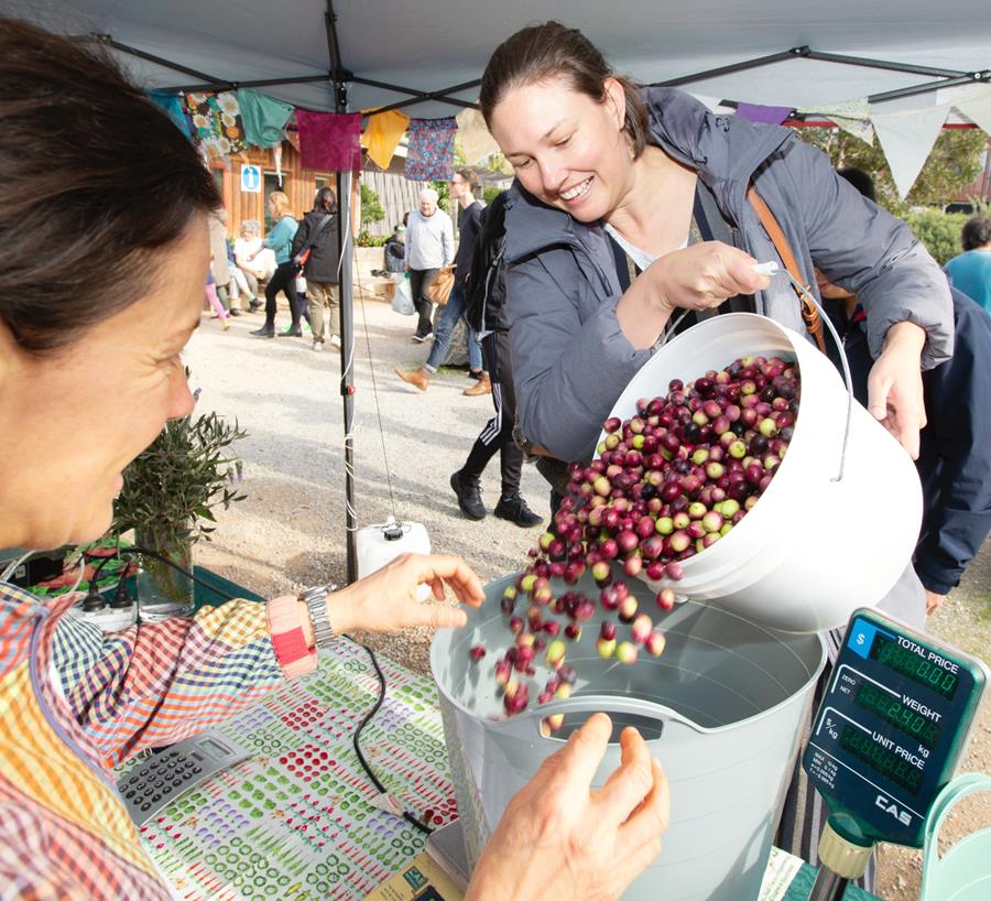 Olives2Oil2023 - CERES Fair Food Olives to Oil collection 2023