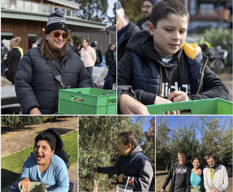 Olive-stories-1 - CERES Fair Food Olive-stories-1