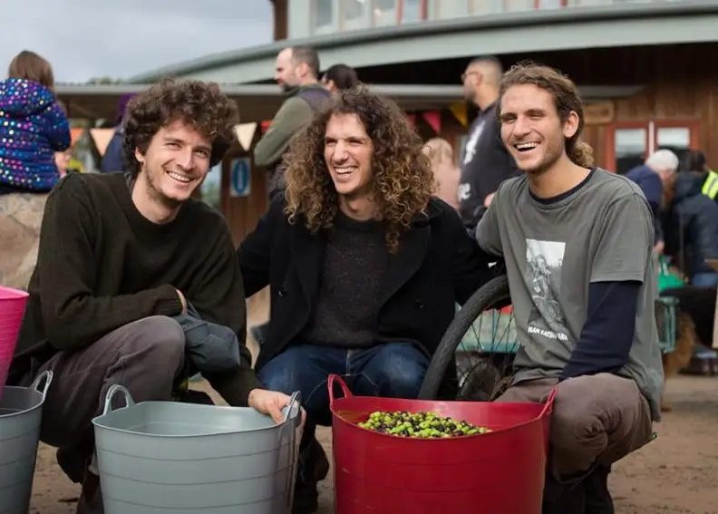 Olives to Oil - Olive stories