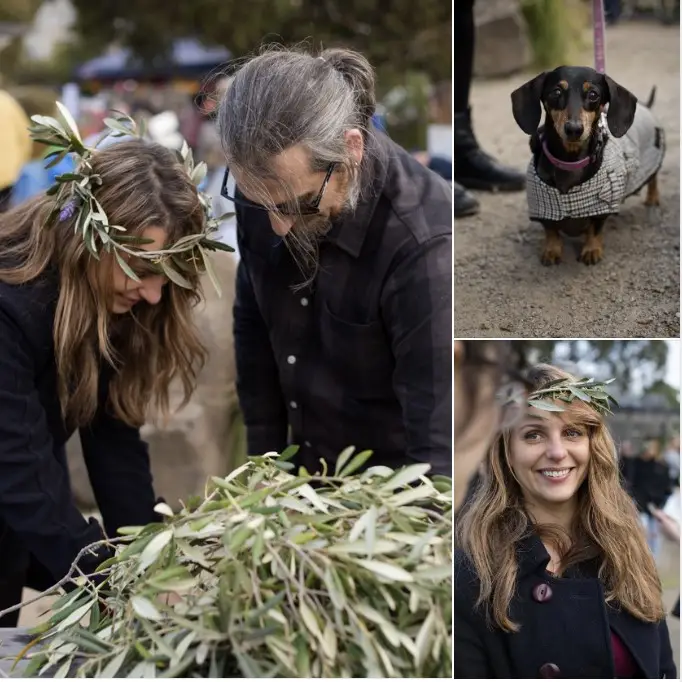 Olive-stories-7 - CERES Fair Food