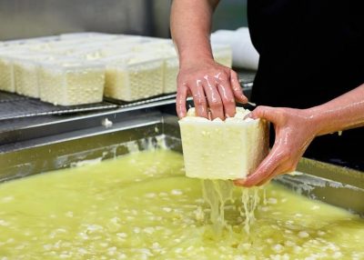 Boatshed Cheese production