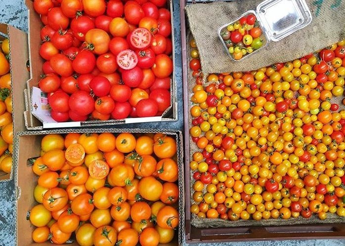 Mixed Victorian tomatoes