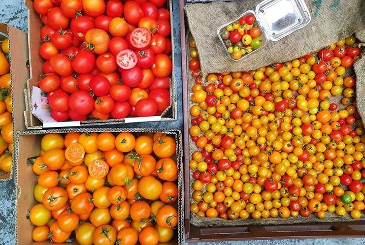 Mixed Victorian tomatoes