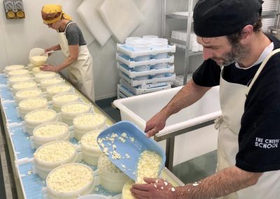 Long Paddock Cheese, in production
