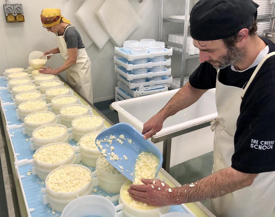 Long Paddock Cheese production