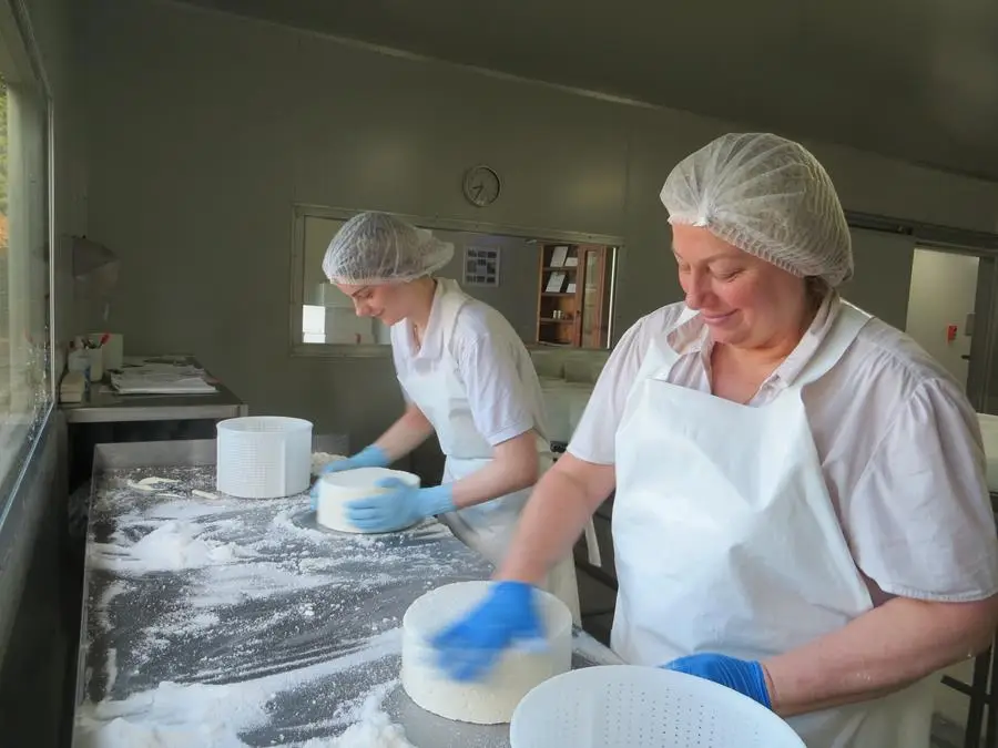 Cheesemakers-BerryCreek - CERES Fair Food Cheesemakers at Berrys Creek Cheese Co