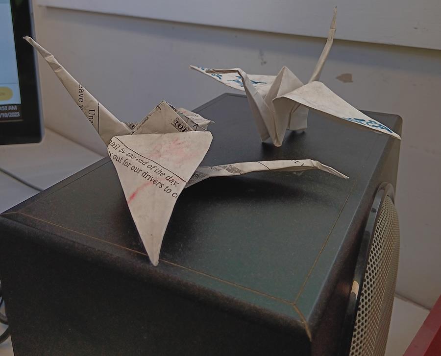 Robyn's paper cranes at the CERES Fair Food office