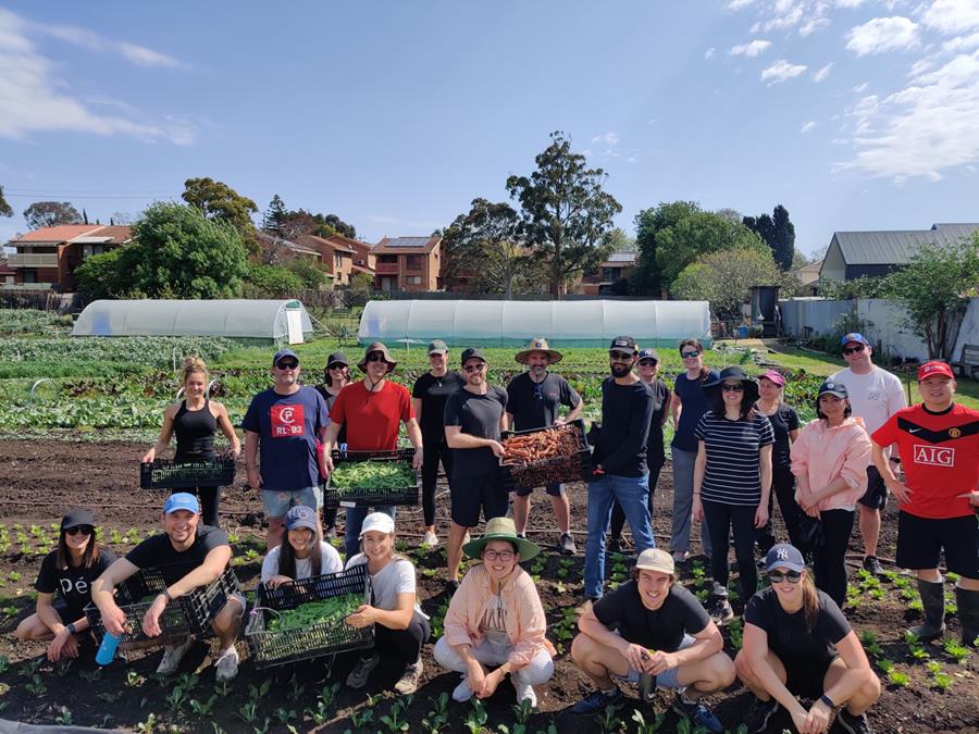 Volunteers and Joe's Garden