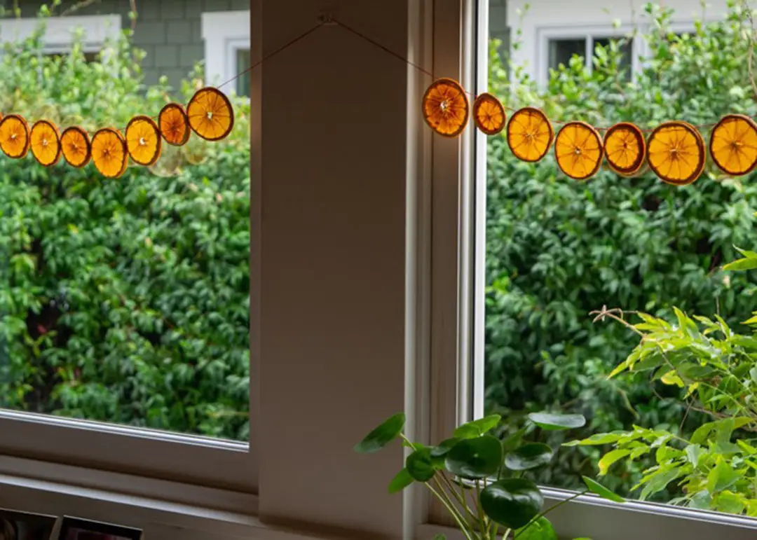 OrangeGarland-1 - CERES Fair Food