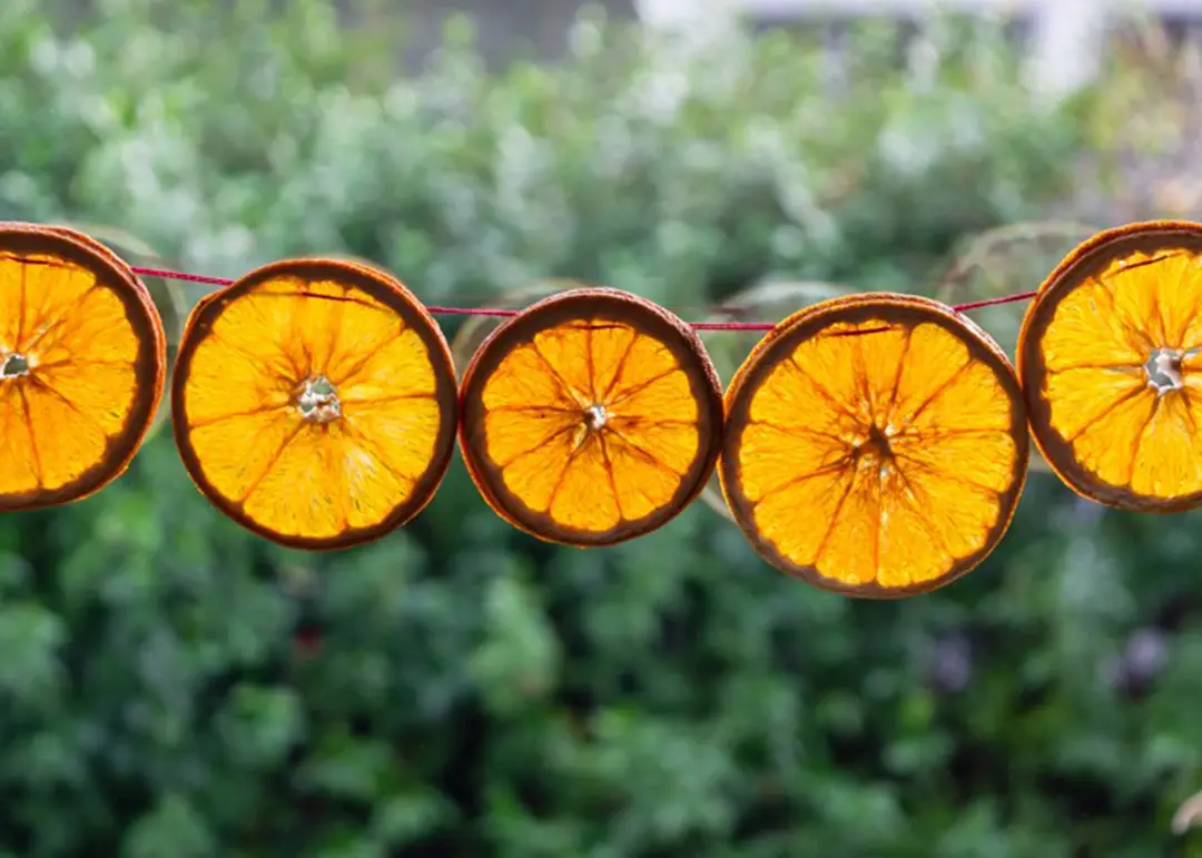 Dried orange festive garland