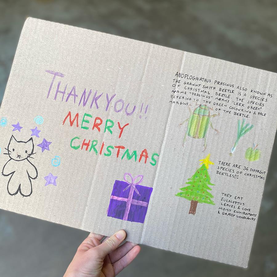Christmas-Beetle-thankyou-2023 - CERES Fair Food Christmas Beetle thank you message