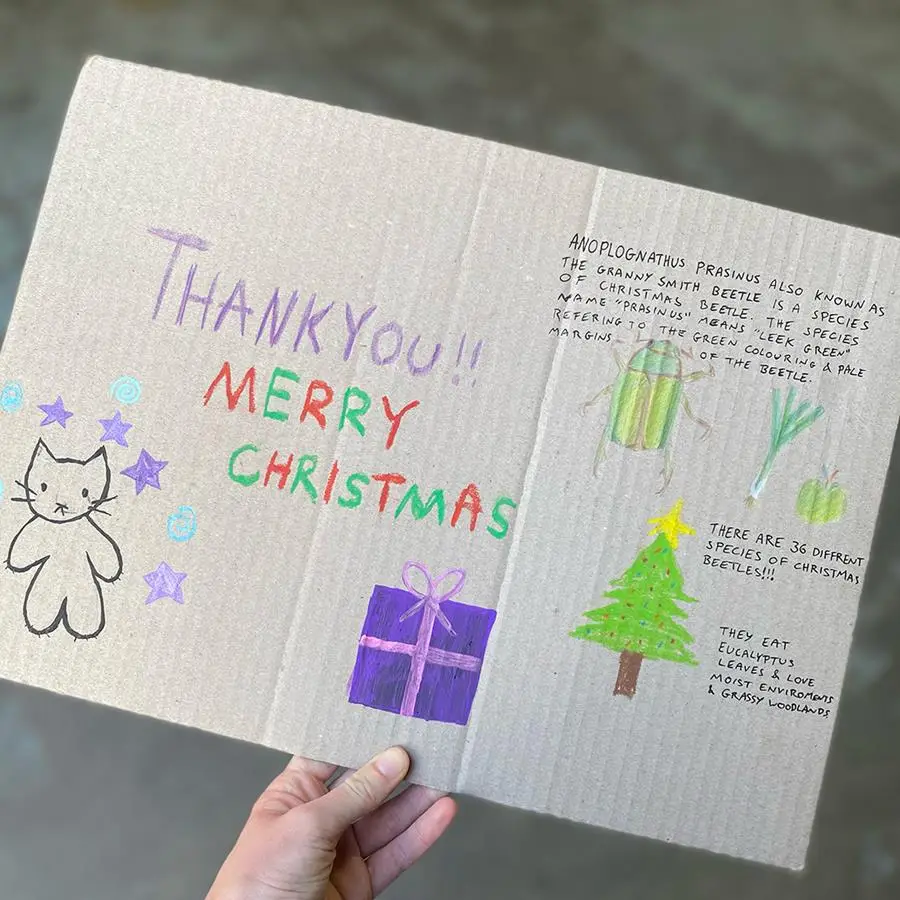 Christmas Beetle thank you message