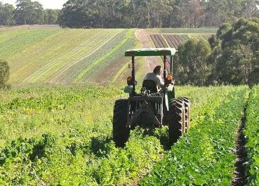 Foothill Organics, Colac