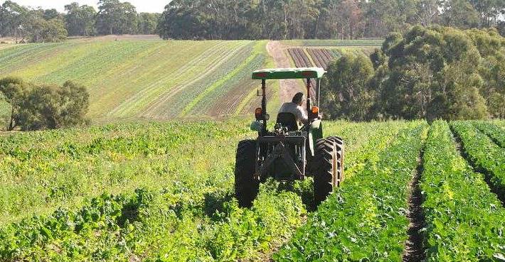 Foothills Organics, Colac