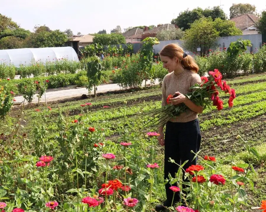 Joes Garden flowers pick your own