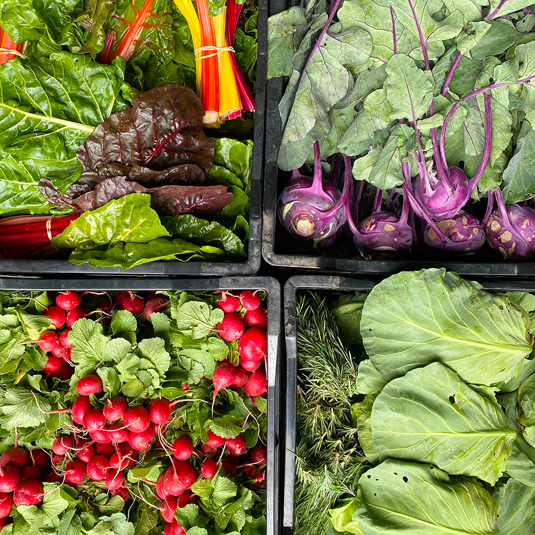 Fruit and Veg Storage Guide CERES Fair Food