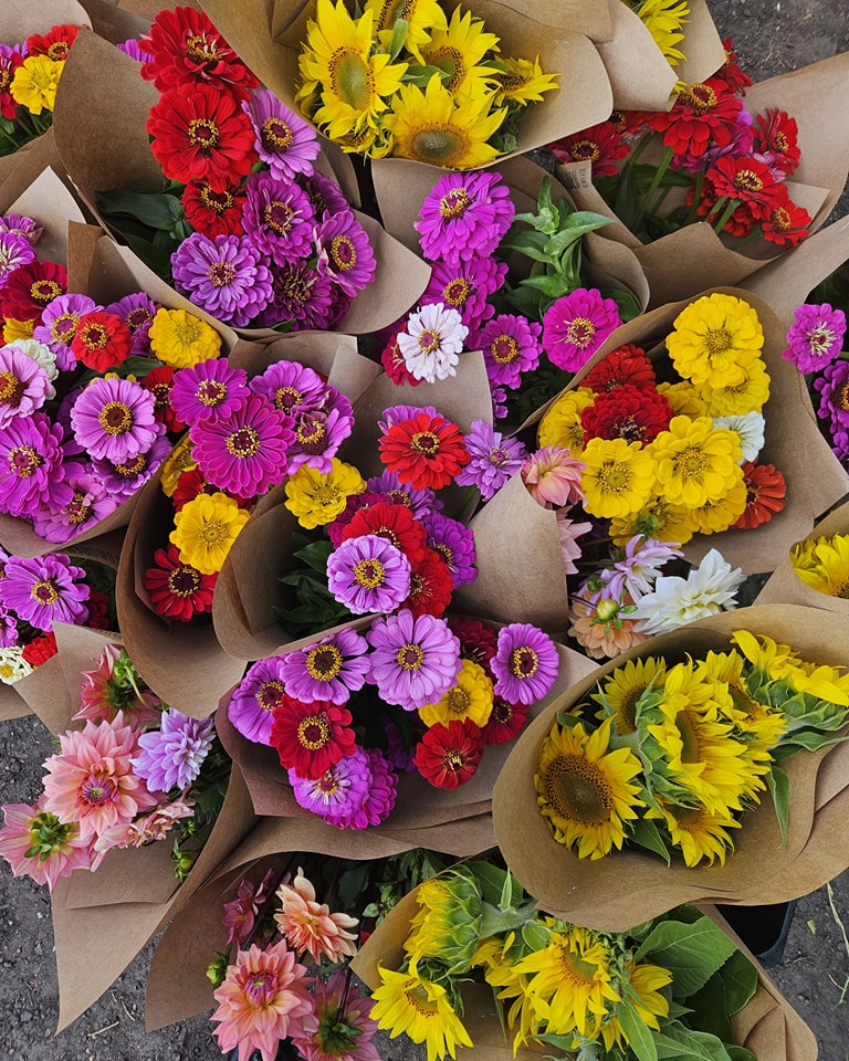 Joesflowers2024 - CERES Fair Food Flower bunches at CERES Joes Market Garden, Coburg