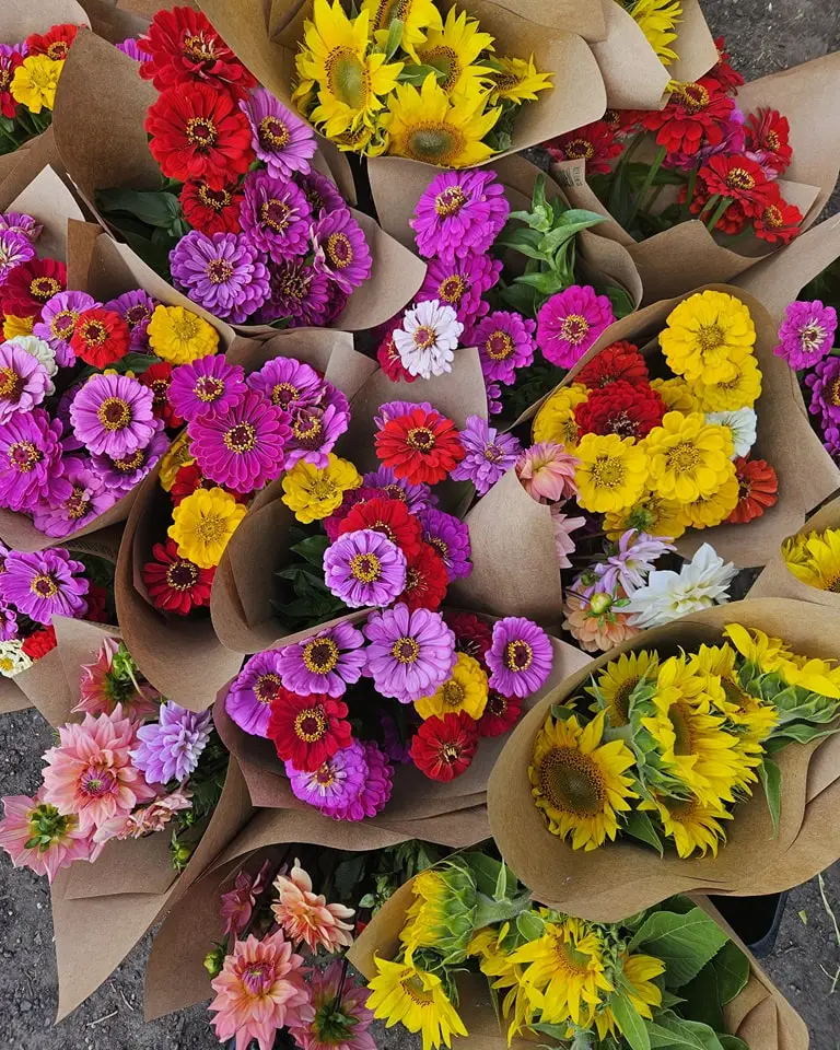 Flower bunches at CERES Joes Market Garden, Coburg