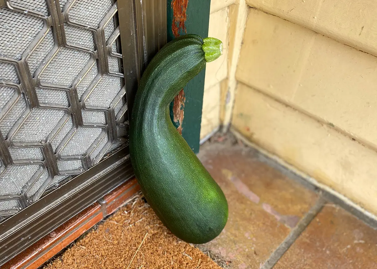 PAZOYND 2 - CERES Fair Food