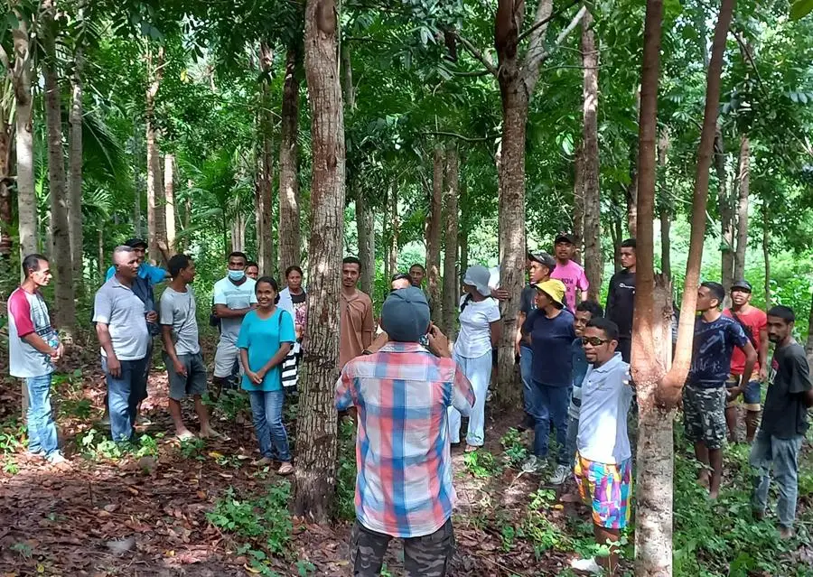 WithOneSEED-Corner-Store-Coffee - CERES Fair Food WithOneSeed, Timor Leste