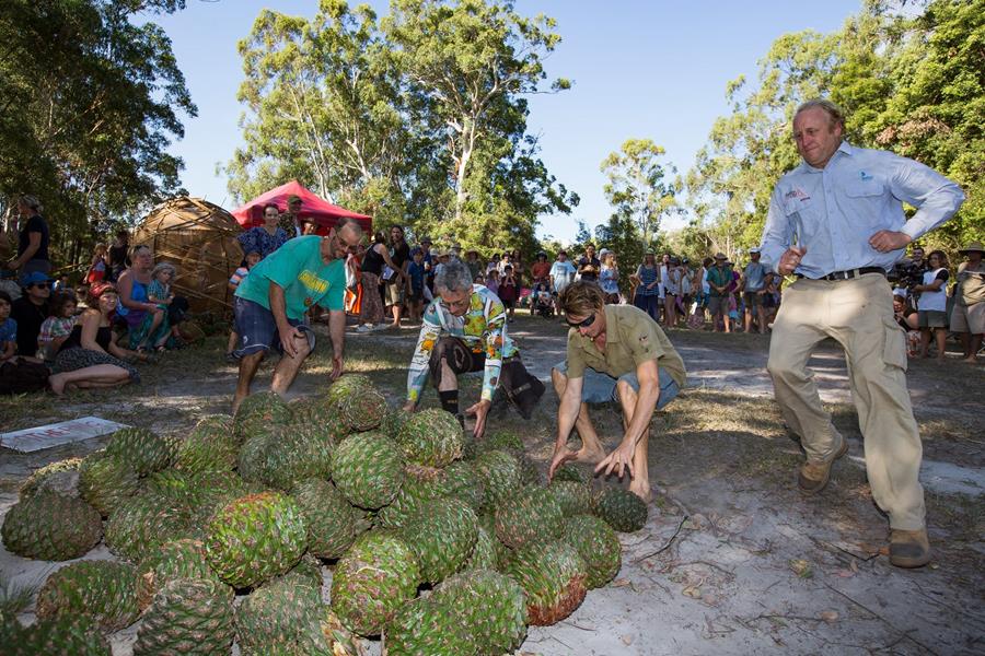 BunyaChallenge - CERES Fair Food Bunya Challenge