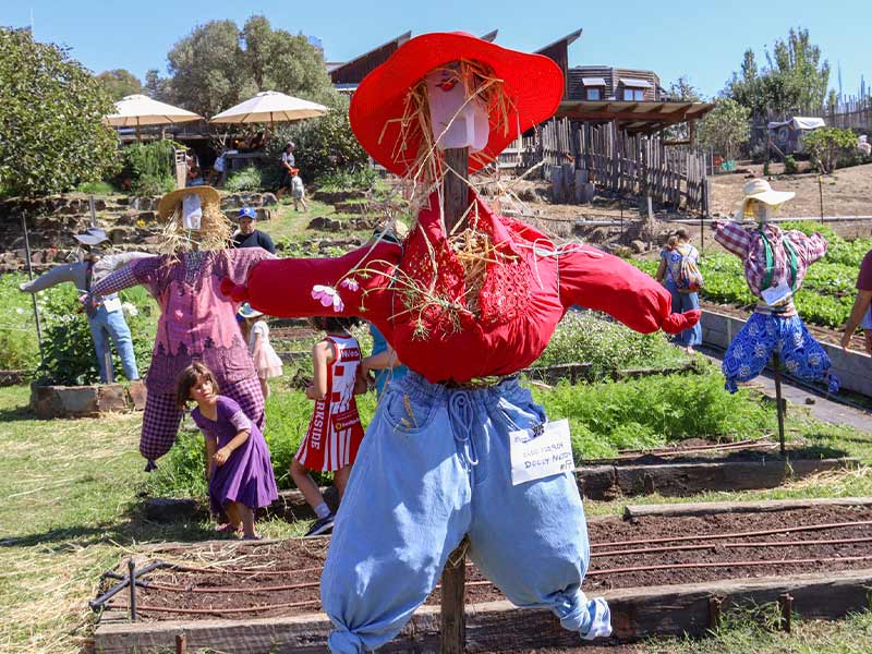 CERES Harvest Festival scarecrows