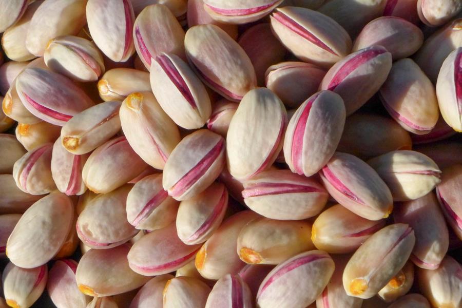 Fresh pink pistachios in their shell