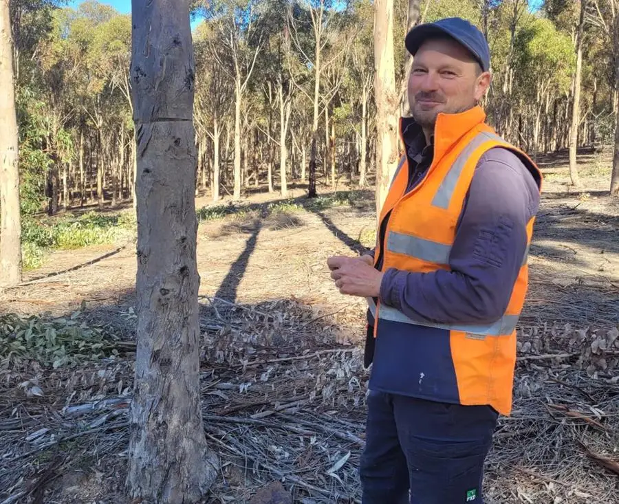 Wood4Good Sustainable Firewood - CERES Fair Wood