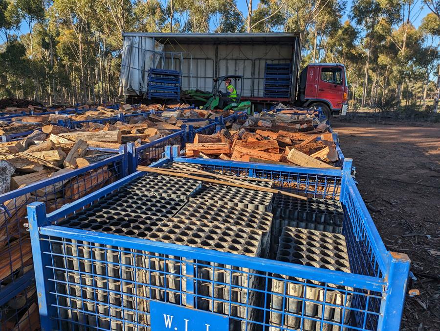 wood4good_firewood3 - CERES Fair Food Wood4Good Sustainable Firewood - CERES Fair Wood