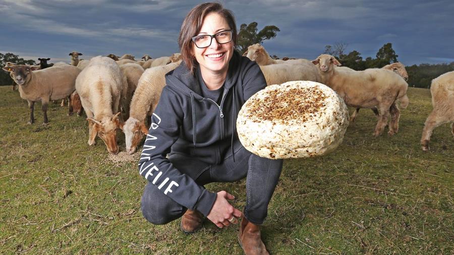 Nicole, Grandvewe Cheese - CERES Fair Food Nicole, cheesemaker Grandvewe Cheese