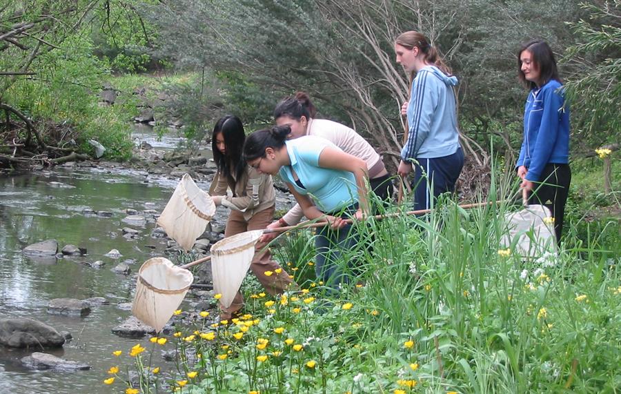 CERES-SNAC-Yr10Water - CERES Fair Food Year 10 students investigating the Merri Creek, CERES School of Nature and Climate