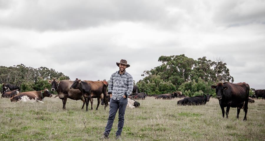 Simon-Schulz-with-Cows - CERES Fair Food Simon Schulz with cows on the farm