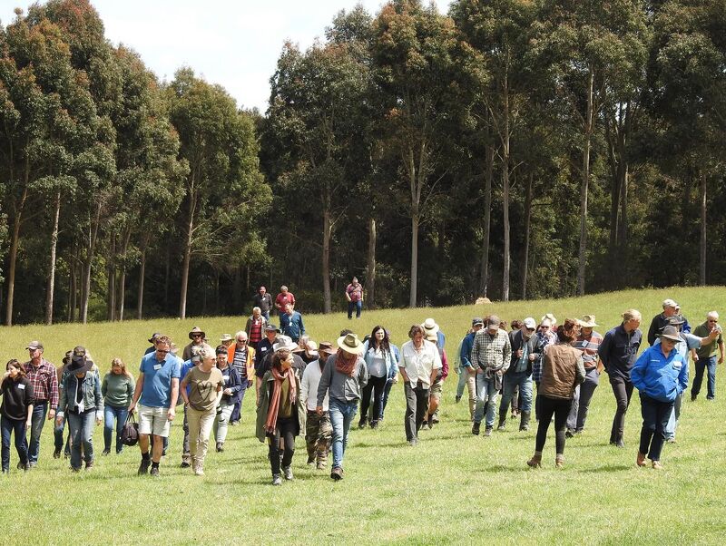 Bambra-crowd - CERES Fair Food Bambra Agroforestry workshop attendees in the field