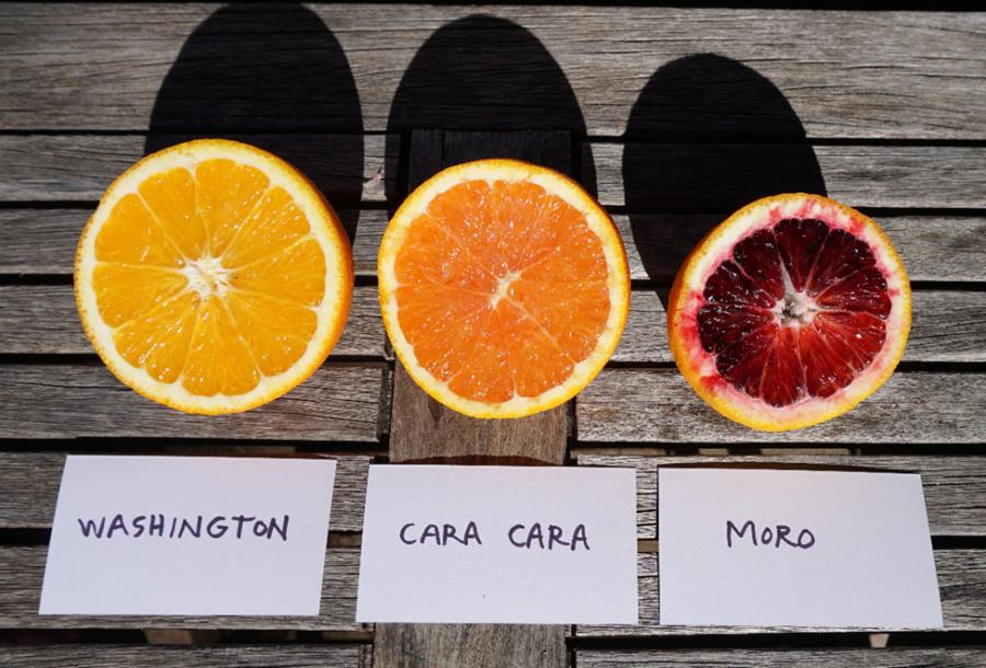 Orange varieties - Washington, Cara Cara, Moro
