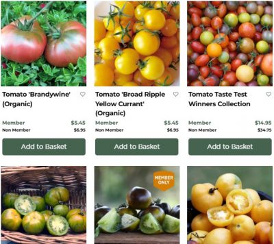 DiggersTomatoes2 - CERES Fair Food Diggers tomato catelogue