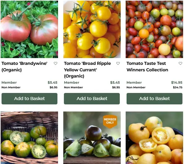 Diggers tomato catelogue