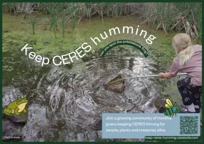 Keep CERES Humming - pobblebonk frog